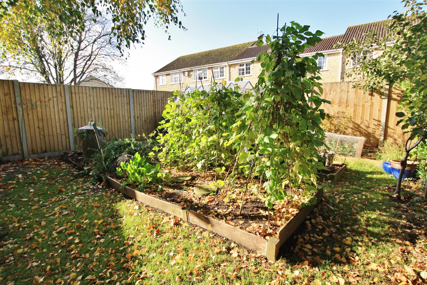 30161768_16.jpg